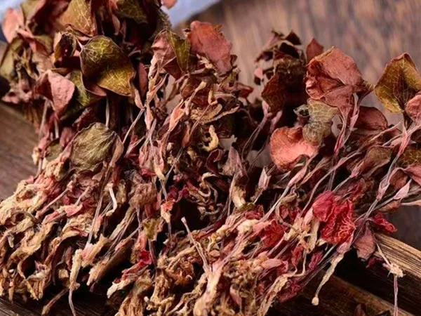 A szuper minőségű szárított Anoectochilus Roxburghii különleges piacokra érkezik