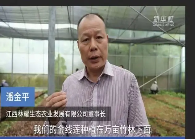 Pan Jinping, a Jiangxi Linyao Ökológiai Mezőgazdasági Fejlesztési Co., Ltd. elnöke, a Xinhua hírügynökség interjúja