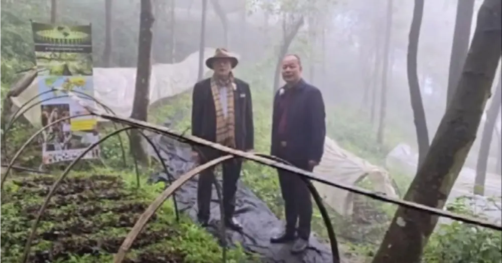 2024. október 20-án cégünk exkluzív interjút kapott Dr. Hancock-kal, az Emerald Planet TV USA elnökével.